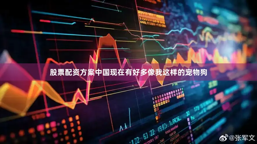 股票配资方案中国现在有好多像我这样的宠物狗