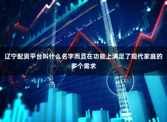 辽宁配资平台叫什么名字而且在功能上满足了现代家庭的多个需求